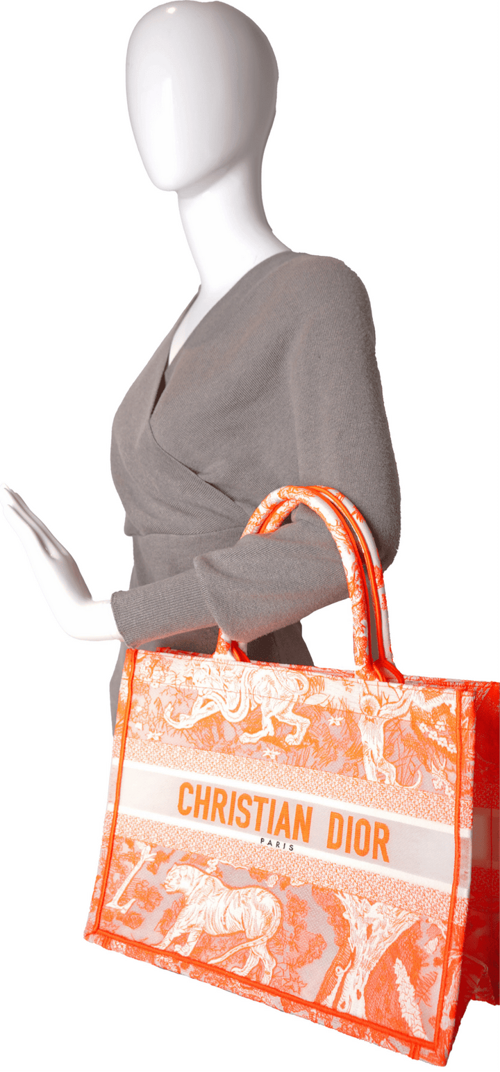 Dior - Medium Toile de Jouy Book Tote - Especially Yours