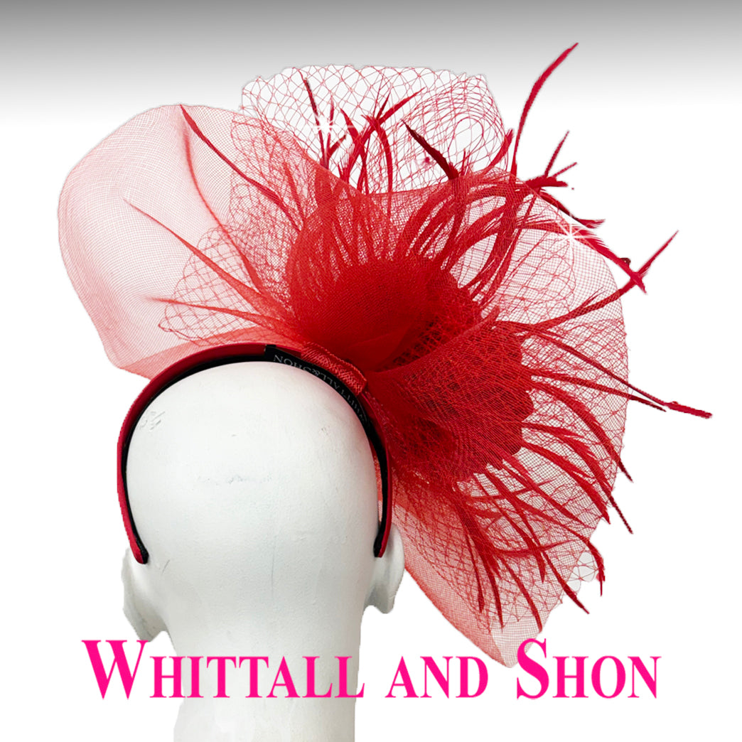 FA2311 GEORGIA by Whittall & Shon