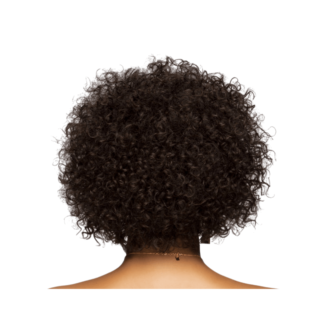 Spring Short Tight Spiral Curl Wig – Vivica A. Fox - Especially Yours