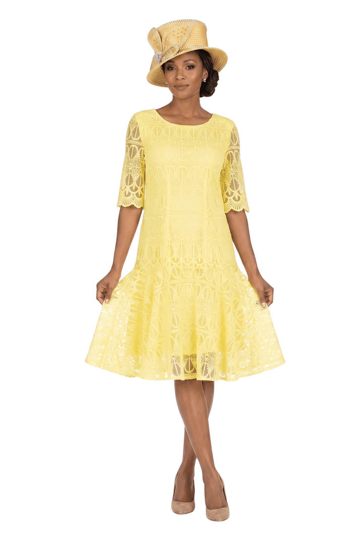 1pc Embroidery Lux Lace Pleated Flare Dress - Especially Yours