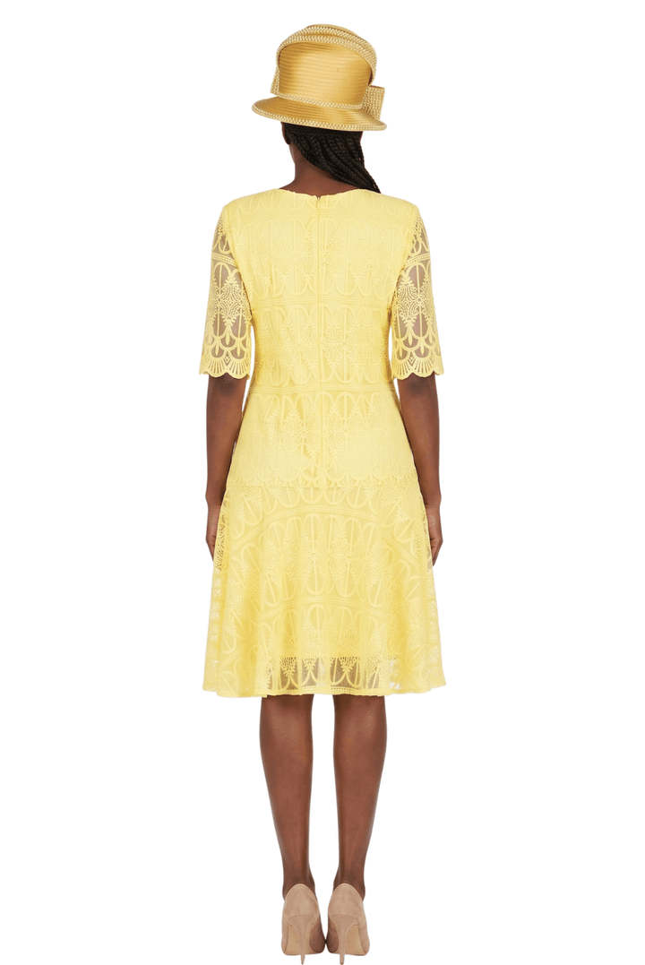 1pc Embroidery Lux Lace Pleated Flare Dress - Especially Yours