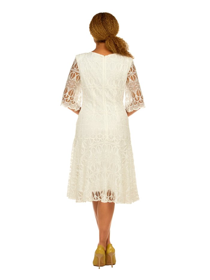 1pc Embroidery Lux Lace Pleated Flare Dress - Especially Yours