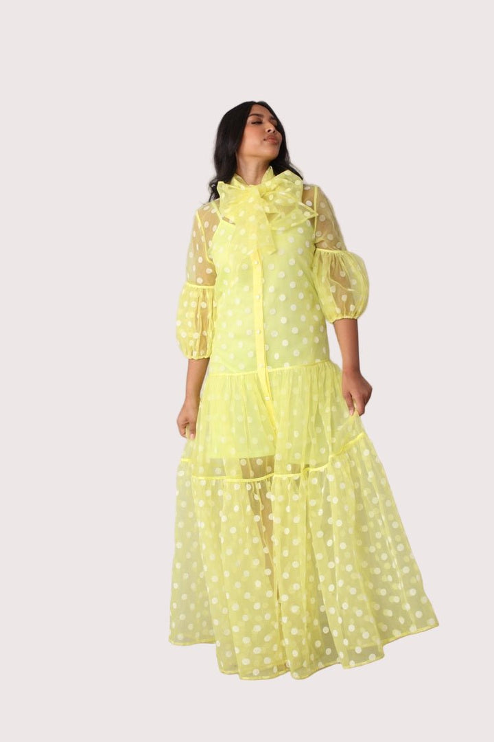 Polka Dot Organza Maxi Dress - 82234 - Especially Yours