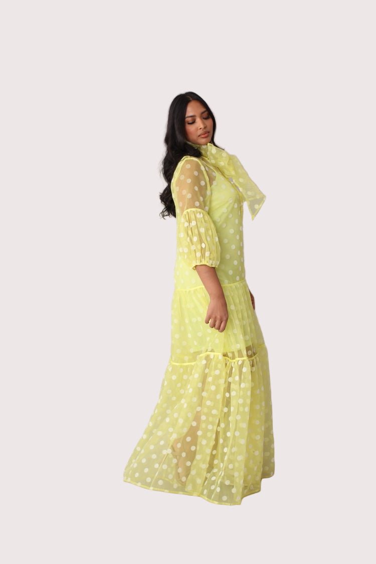 Polka Dot Organza Maxi Dress - 82234 - Especially Yours