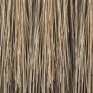 Sky by Noriko - Especially Yours